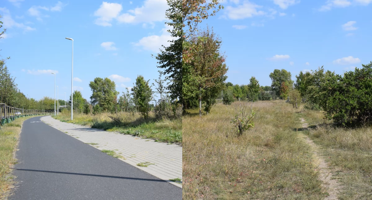 To ma być prawdziwy hit! W Toruniu powstanie pierwszy park linearny