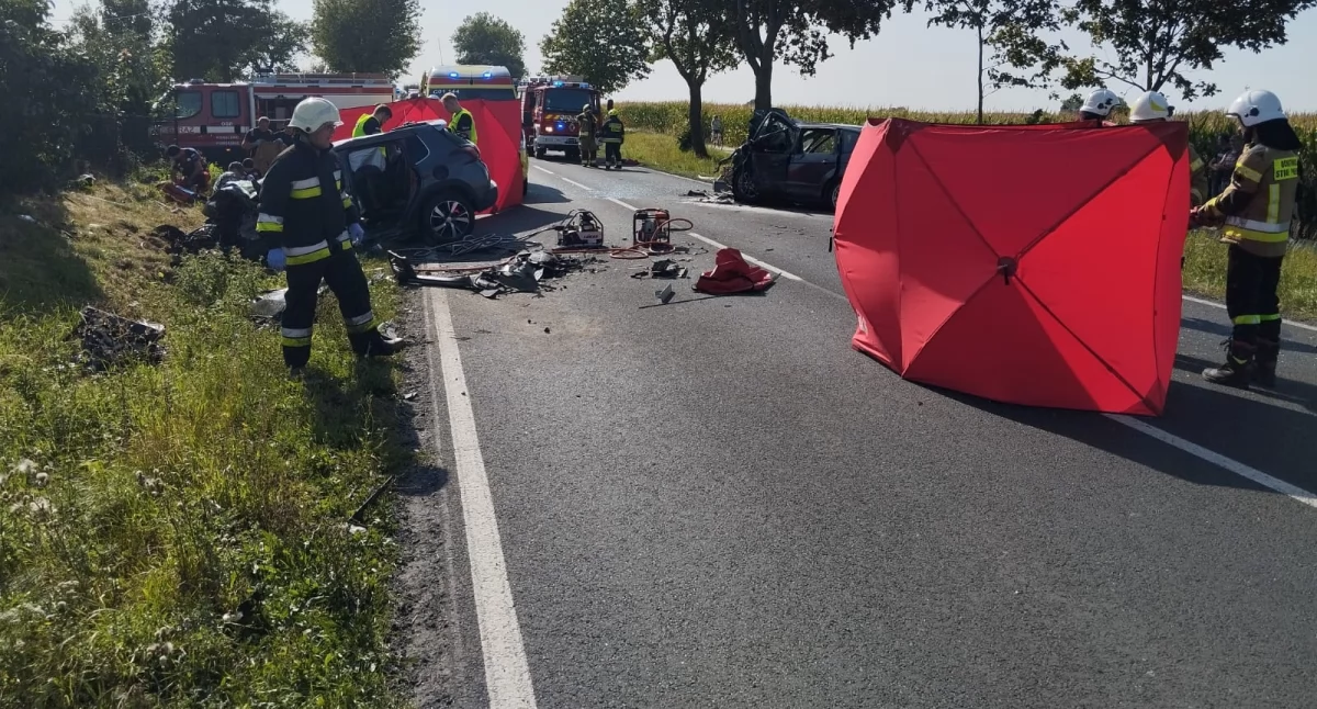 Rodzice 2-latki zginęli w wypadku samochodowym. Dziecko trafiło do szpitala w Toruniu 