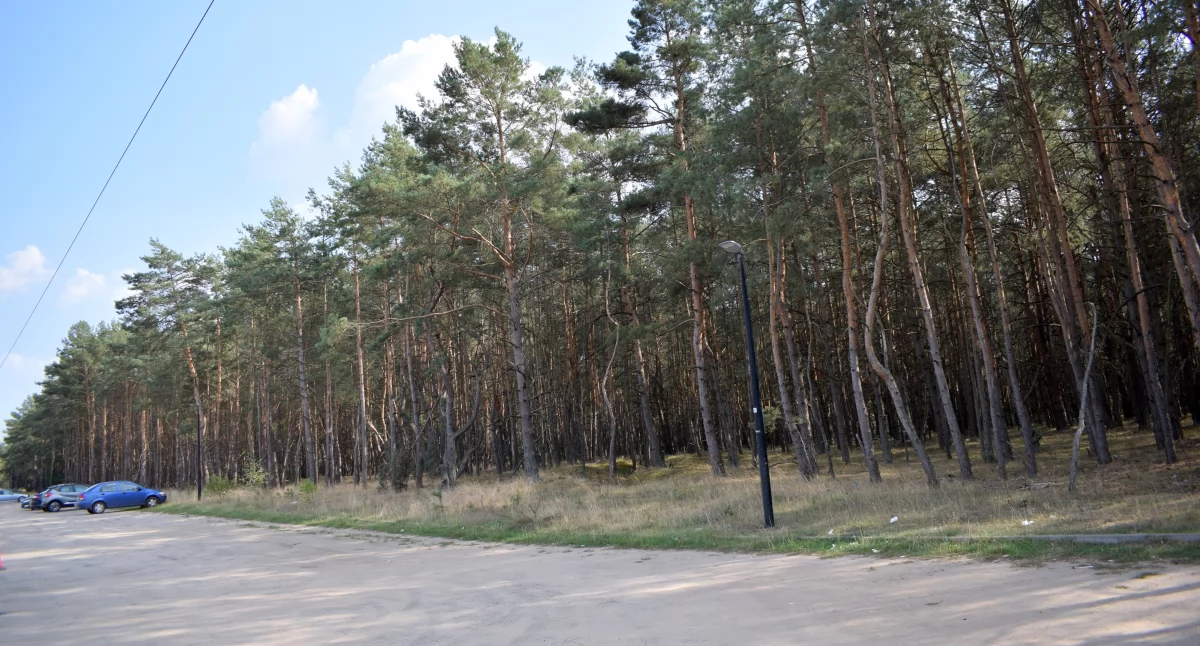 W Toruniu powstanie biurowiec za ponad 70 mln zł. Będzie siedzibą znanej firmy