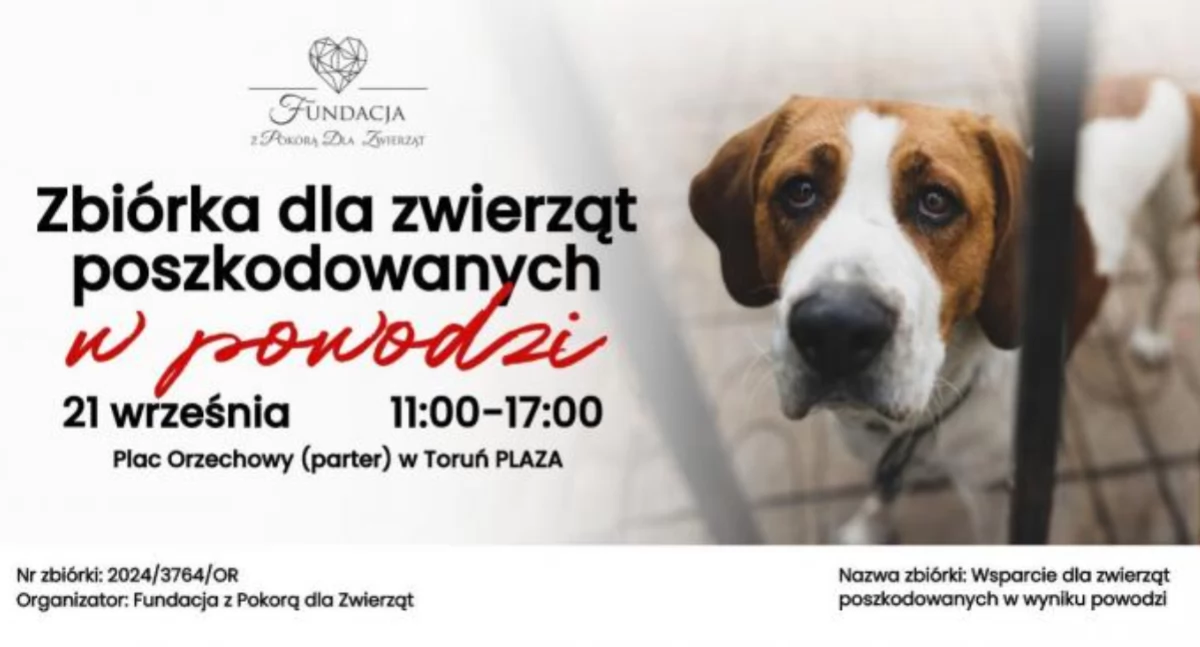 W Toruń Plaza odbędzie się zbiórka dla zwierząt poszkodowanych w powodzi 