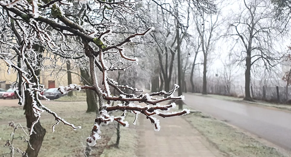 Toruń wśród najzimniejszych miast. Takiej temperatury dawno nie było