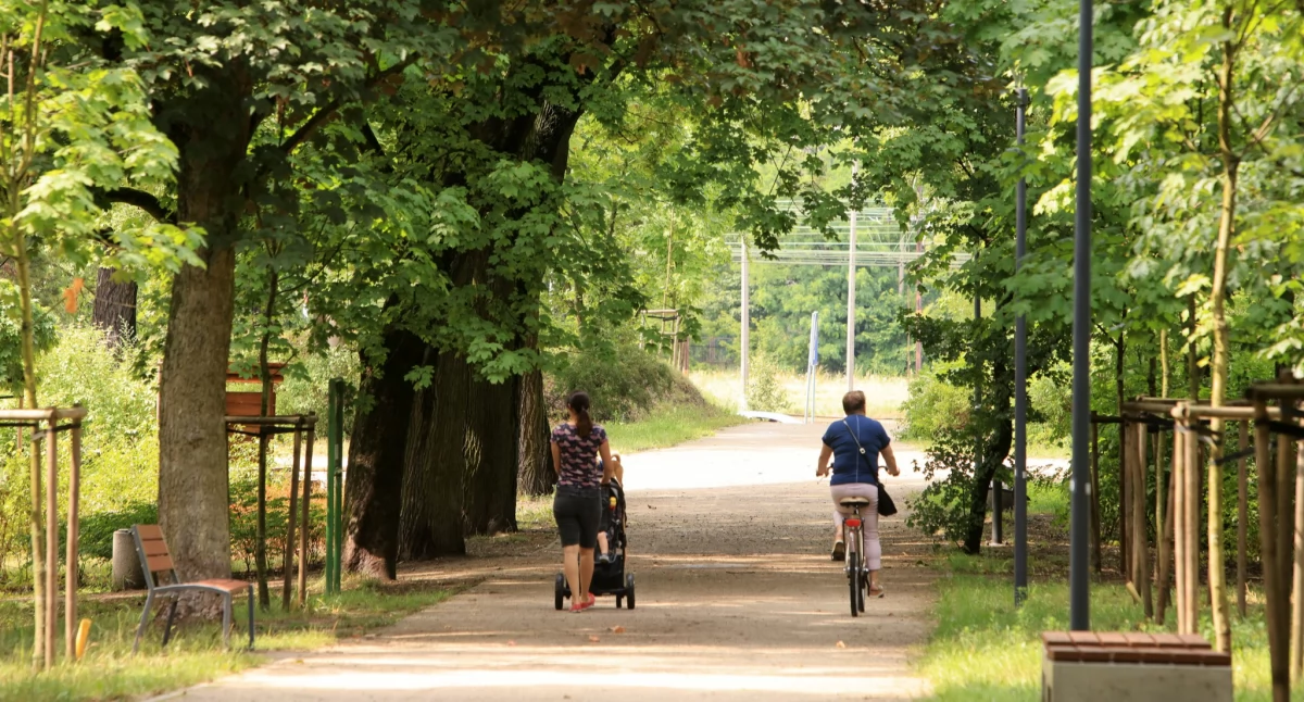 Bomba ciepła w Toruniu. Temperatura zaskoczy wszystkich
