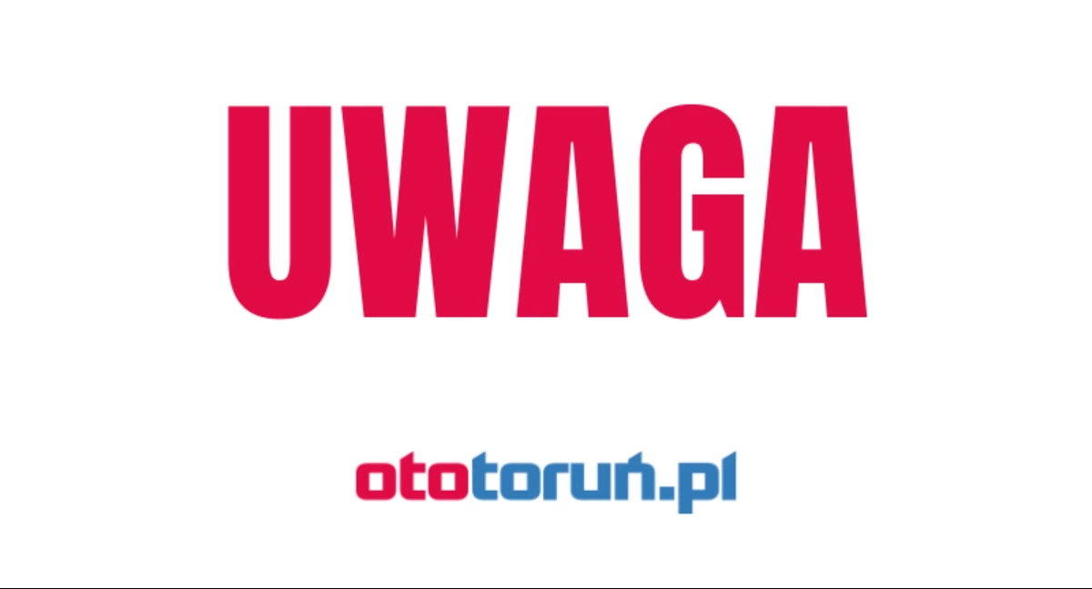 Zakaz wstępu do lasu w Toruniu. Z grzybobrania wrócicie z mandatem
