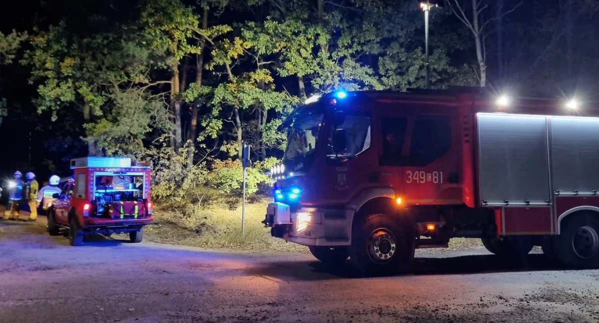 Wypadek pod Toruniem. Kierowca rozbił się na drzewie