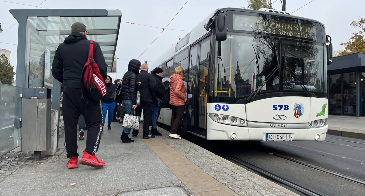 W Toruniu zostanie uruchomiona specjalna linia autobusowa. Będzie kursowała przez 9 dni 
