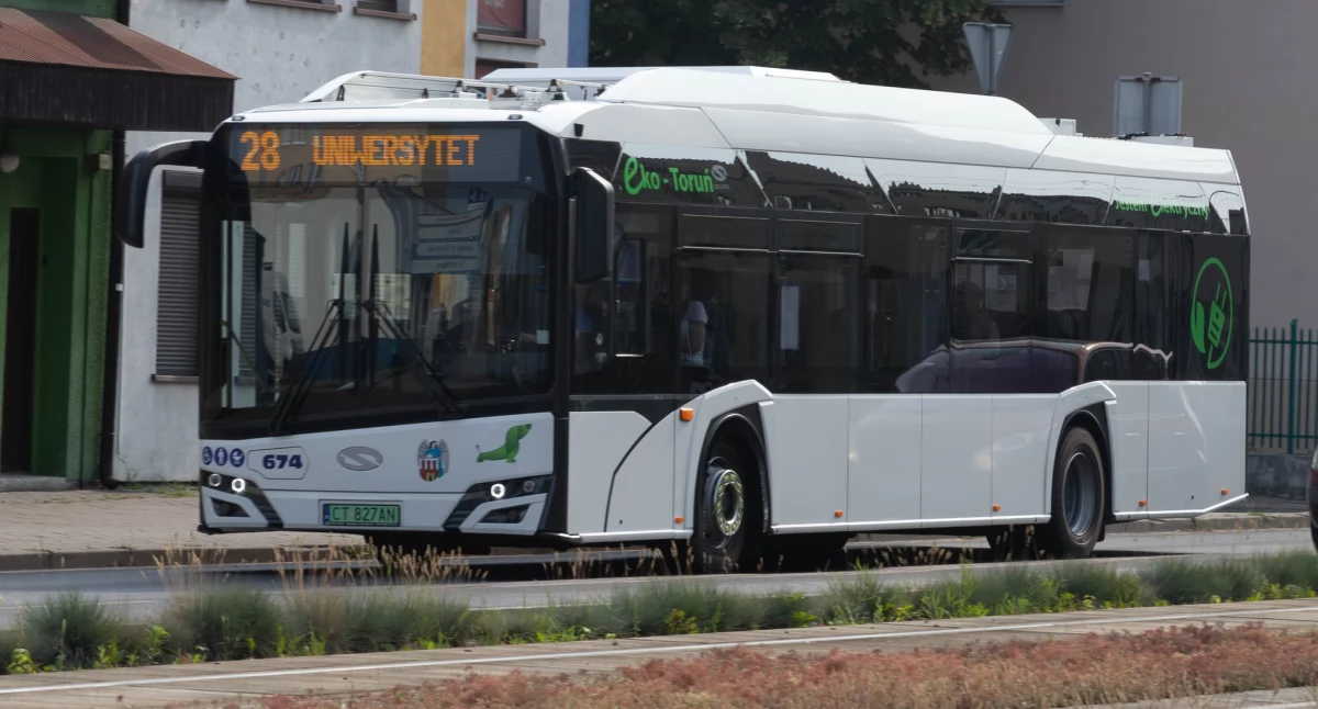 MZK w Toruniu za darmo. Przez 18 godzin możesz pojechać bez biletu