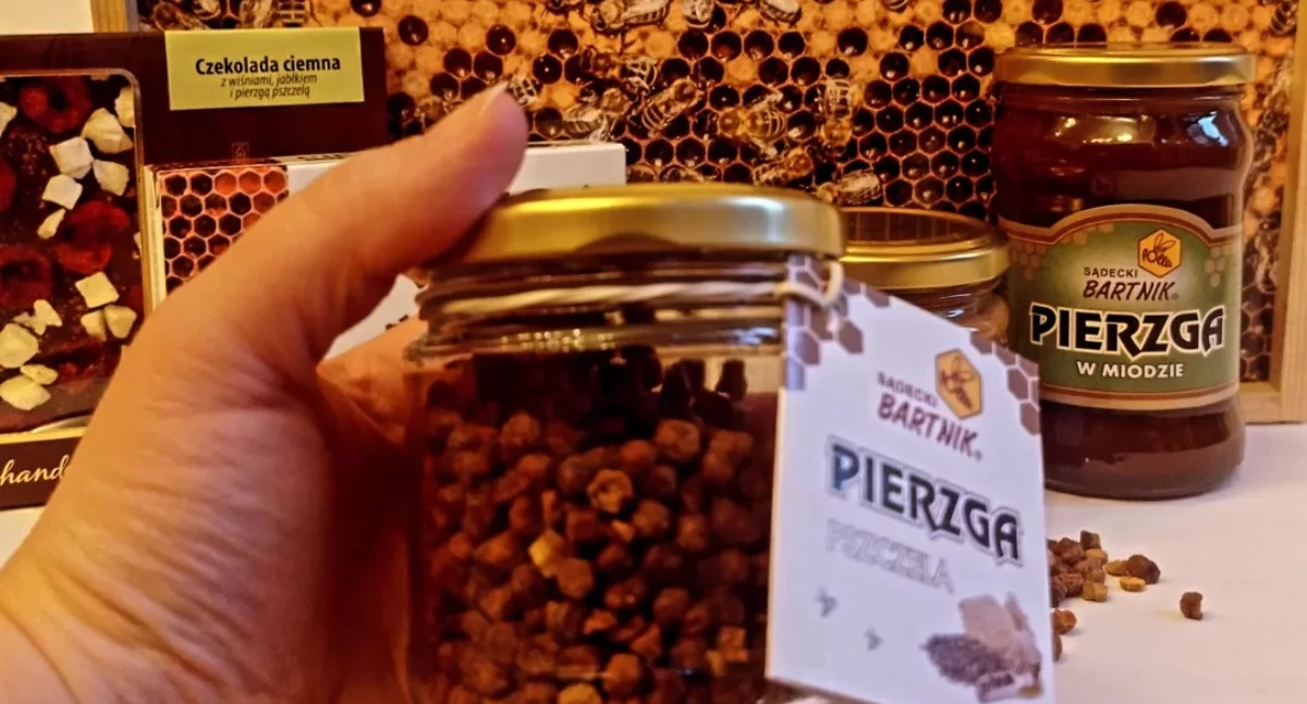 Pierzga - „pszczeli chleb”, który można dostać w Toruniu. Jest idealny na jesień