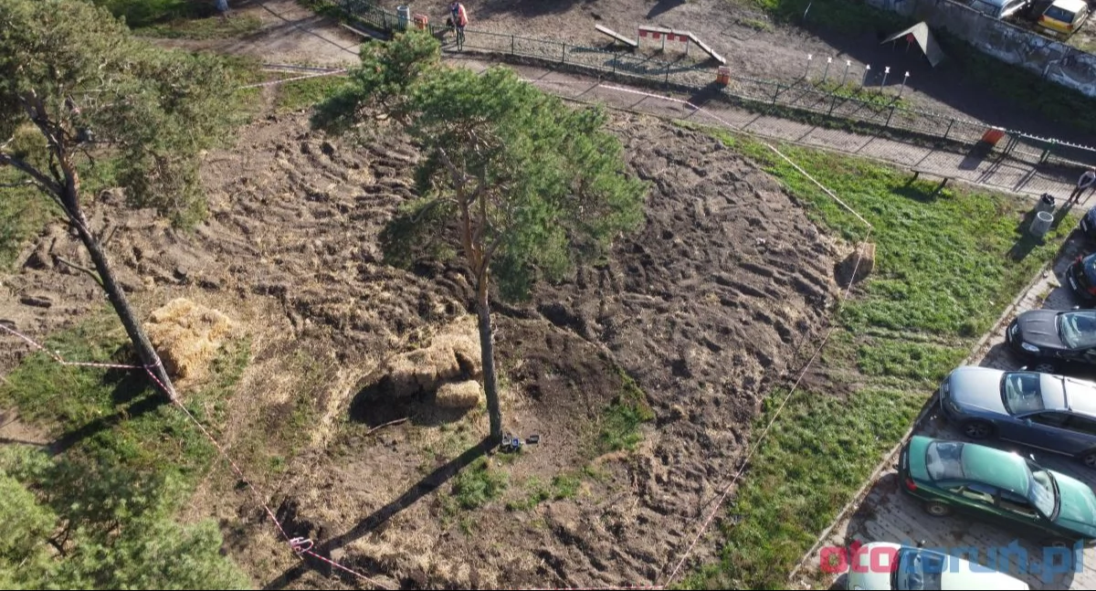 To będzie pierwszy mikrolas w Toruniu. Na skwerku rozsypano już słomę