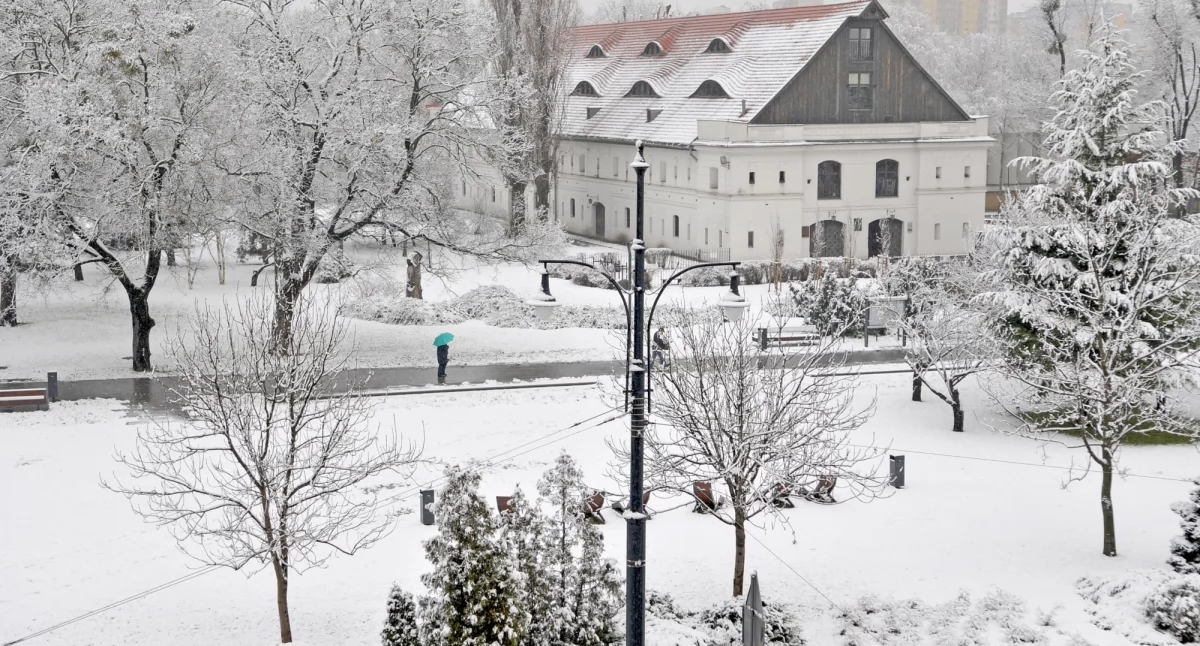 Radykalna zmiana pogody. Śnieg w Toruniu spadnie jednak znacznie wcześniej