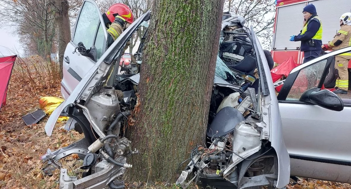 Śmiertelny wypadek pod Toruniem. Kierowca rozbił się na drzewie