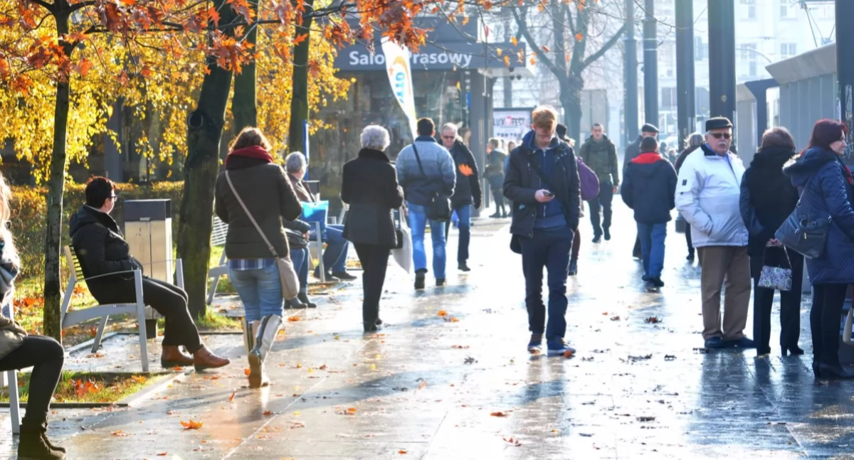 Całkowity zwrot w pogodzie. Do Torunia nadchodzi duże ocieplenie