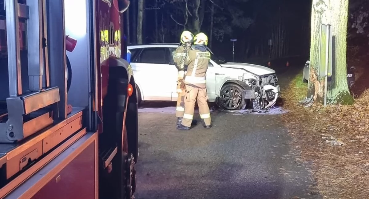 Kobieta wjechała w drzewo pod Toruniem. Próbowała ominąć sarnę