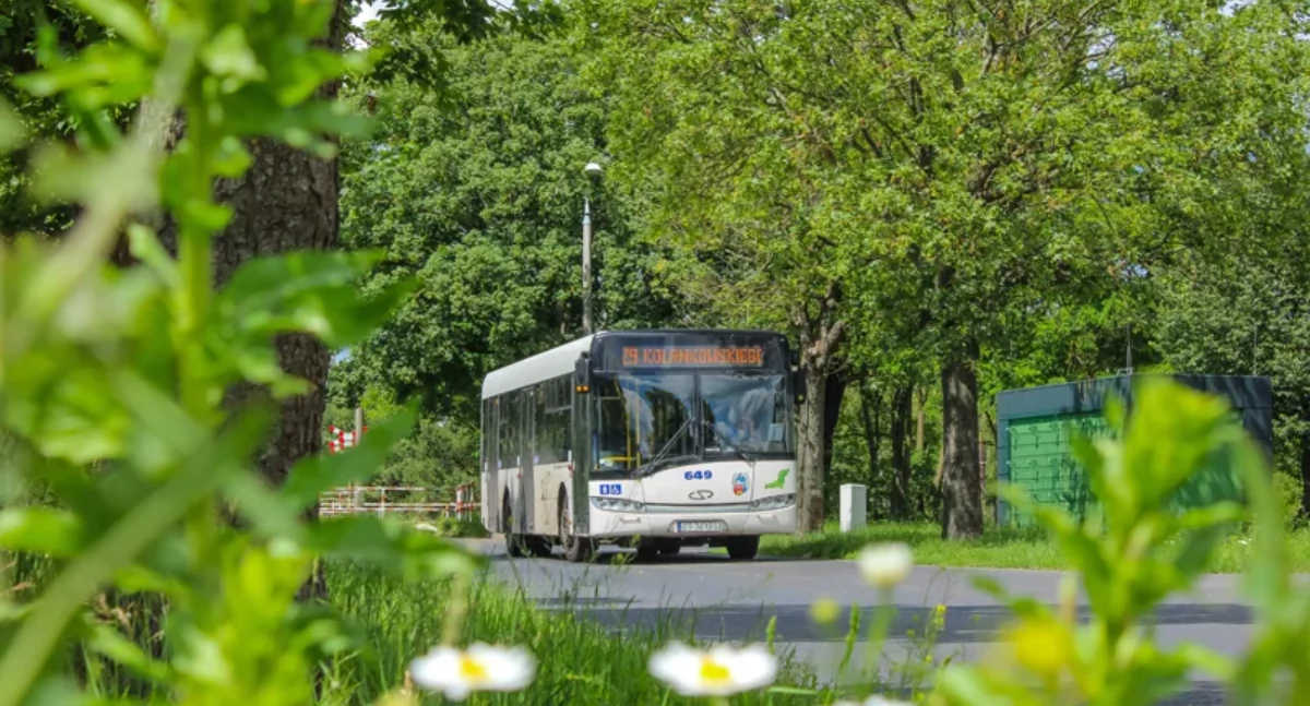 Autobusy MZK dojadą do kolejnej gminy pod Toruniem. Opublikowano wstępny rozkład jazdy
