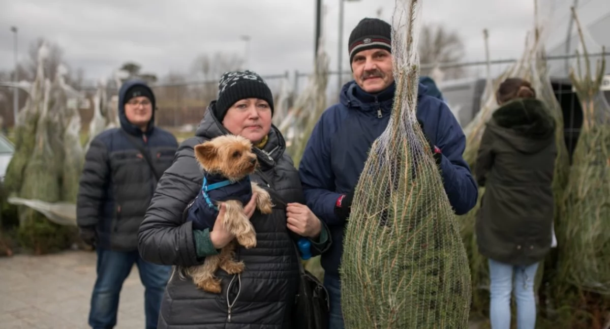 W CH Toruń Plaza można otrzymać choinkę za karmę dla zwierząt