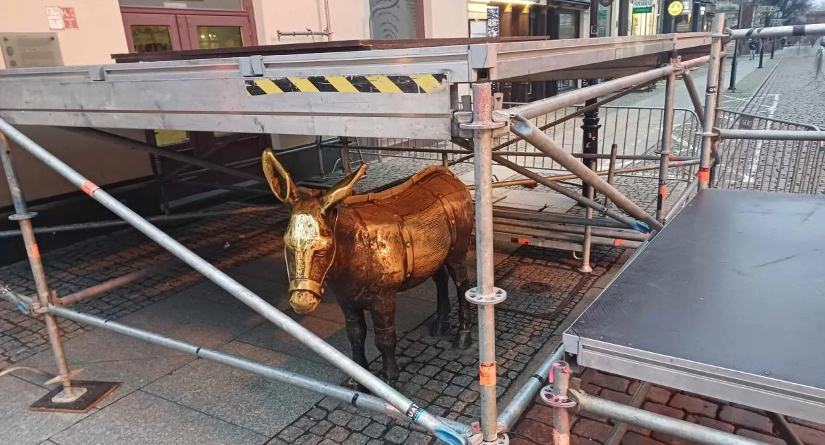 Toruń szykuje się na Sylwestra z Polsatem. Osiołek został „uwięziony”