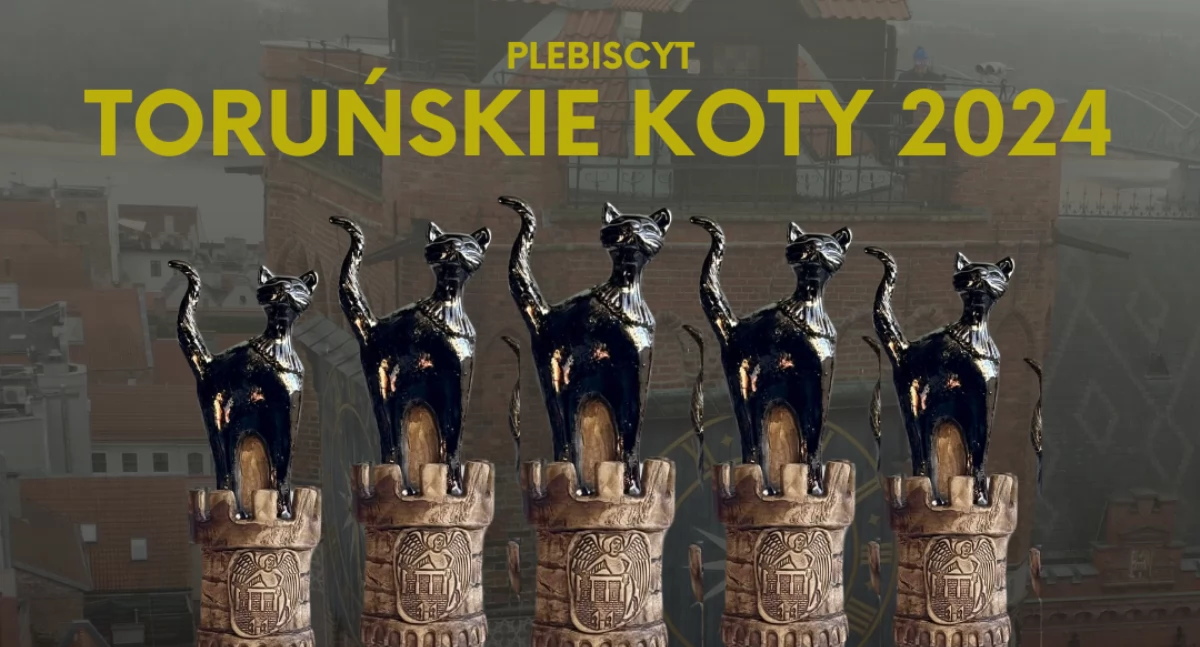 Oto zwycięzcy plebiscytu TORUŃSKIE KOTY 2024