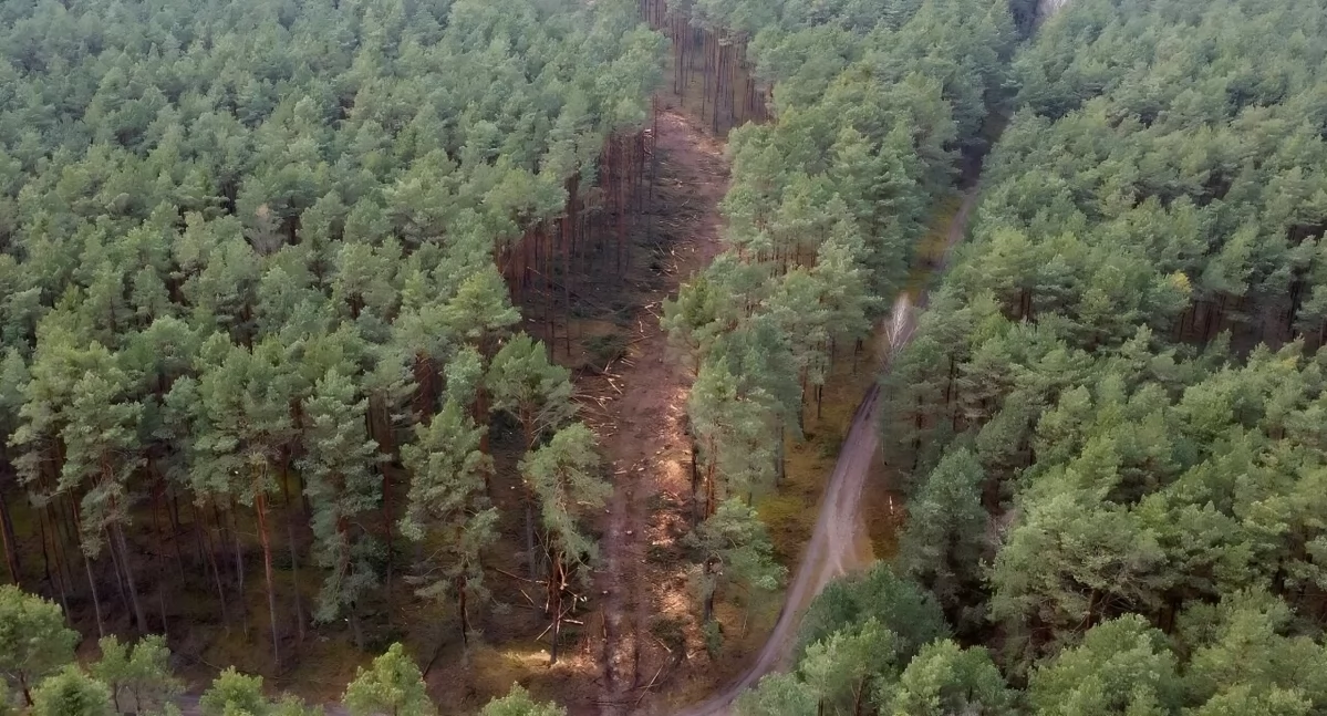 Toruń zyska dogodny dojazd do A1. Tu powstanie nowy łącznik