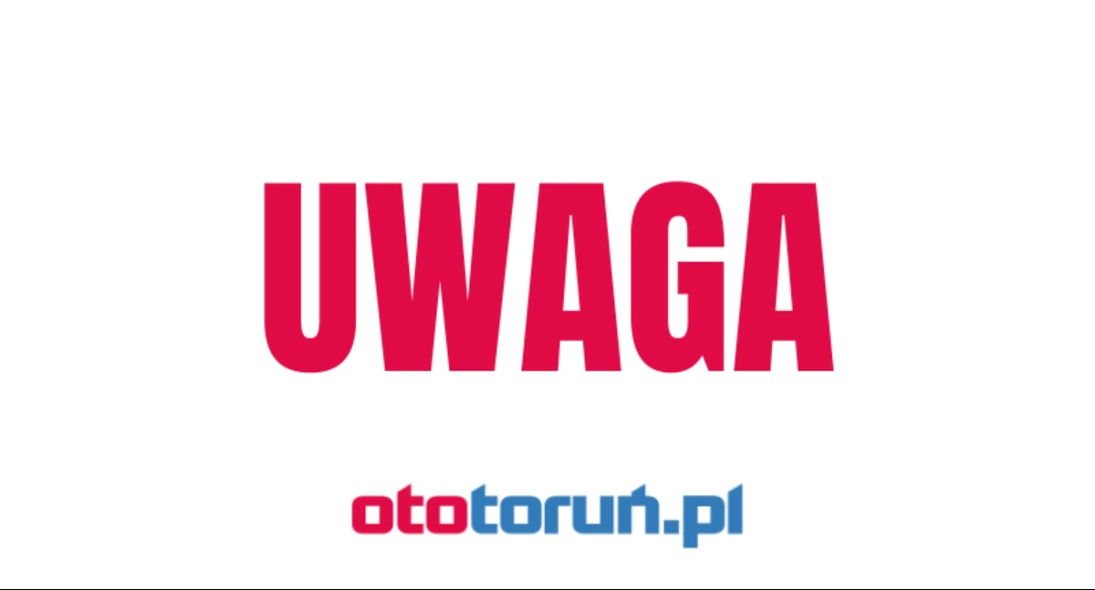 Nowe ogniska wirusa ASF. W siedmiu miejscowościach pod Toruniem wprowadzono różową strefę