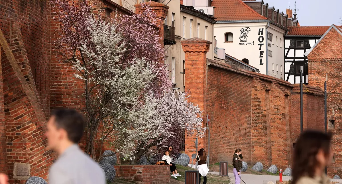 Powiew ciepła w Toruniu. Podajemy datę nadejścia wiosny