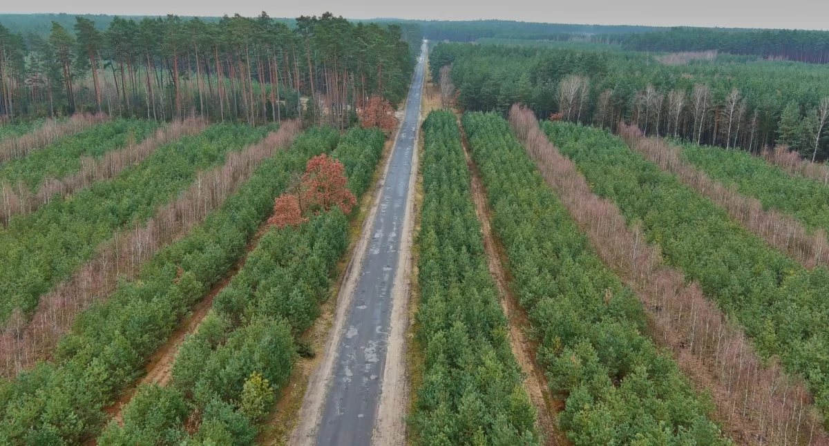 Powiat toruński chce rocznie modernizować przynajmniej 10 km dróg