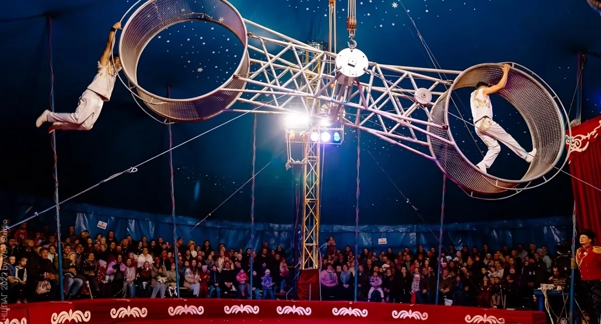 Słynny zagraniczny cyrk na wodzie wystąpi w Toruniu. Zaprezentuje nowy program