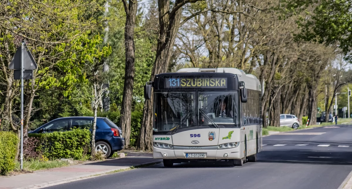 Poważna awaria w komunikacji miejskiej w Toruniu. Bilety MZK nie są widoczne [AKTUALIZACJA]