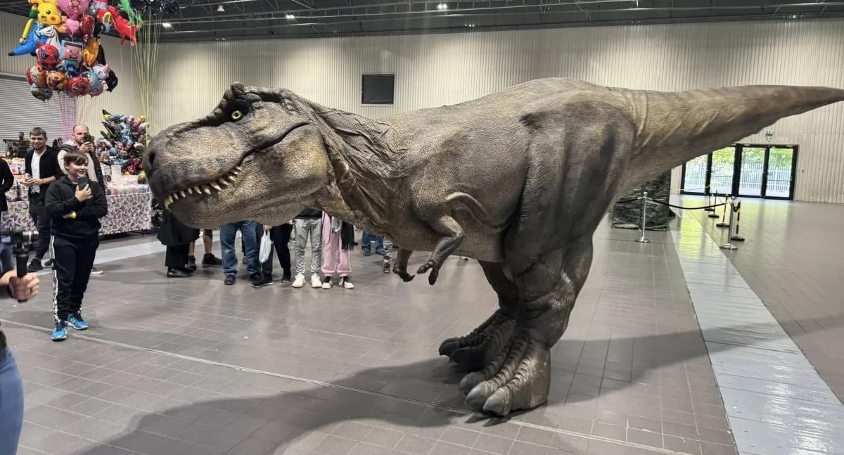 Do Torunia przyjedzie największy chodzący dinozaur w Polsce. Mierzy aż siedem metrów 