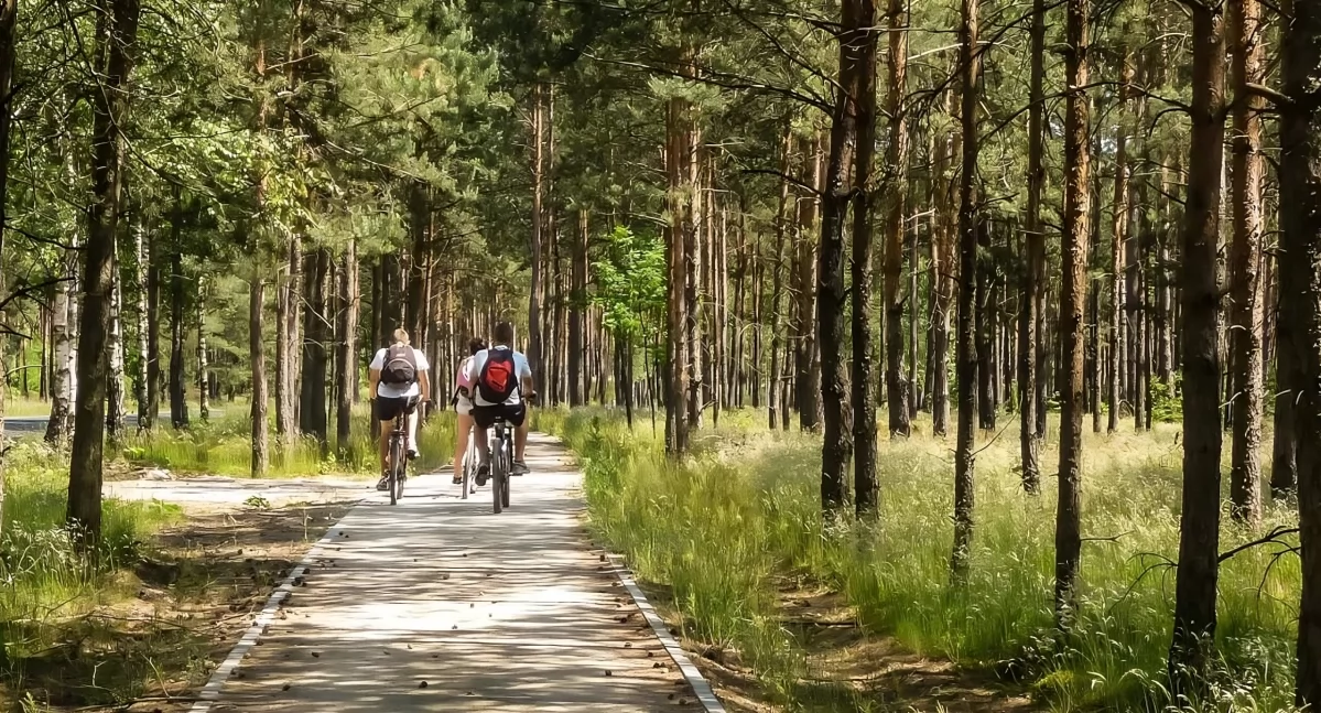 Nowa ścieżka rowerowa powstanie pod Toruniem. Połączy kilka miejscowości