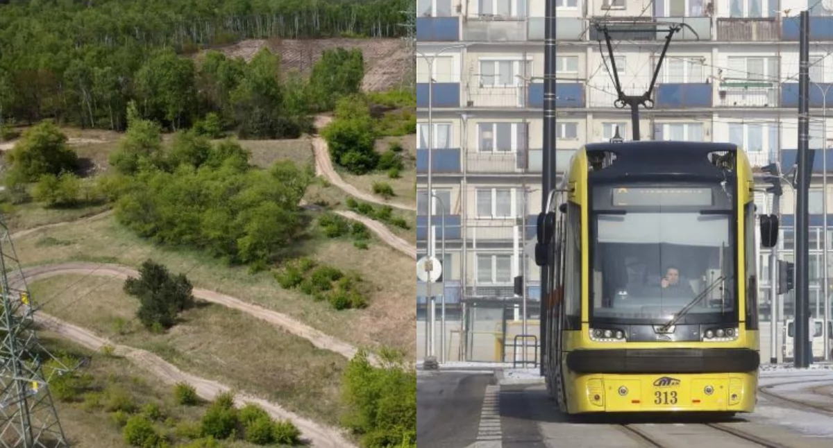 W tym miejscu powstanie nowa linia tramwajowa w Toruniu. Tory będą prowadzić do wielkiej bazy
