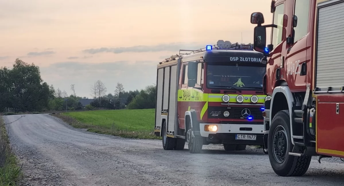 Telefon wykrył wypadek pod Toruniem. Strażacy ruszyli na ratunek