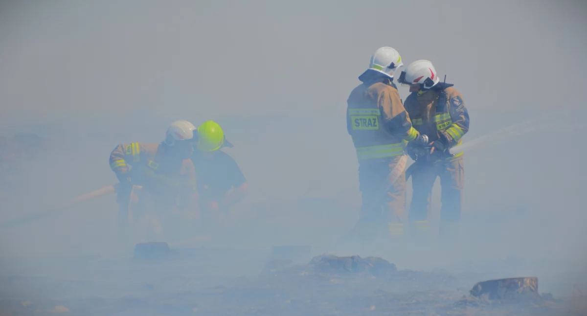 Alarm pod Toruniem. Podpalacz wywołał dziewięć pożarów jednego dnia