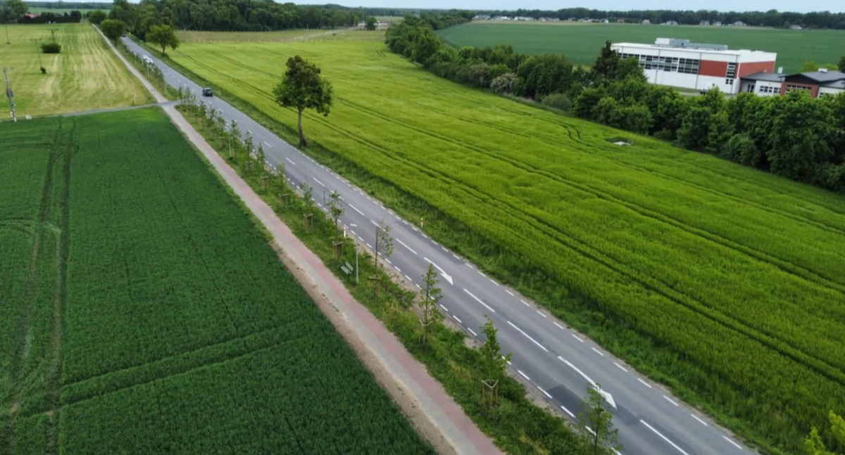 Zielona aleja powstanie wzdłuż kolejnej wojewódzkiej drogi