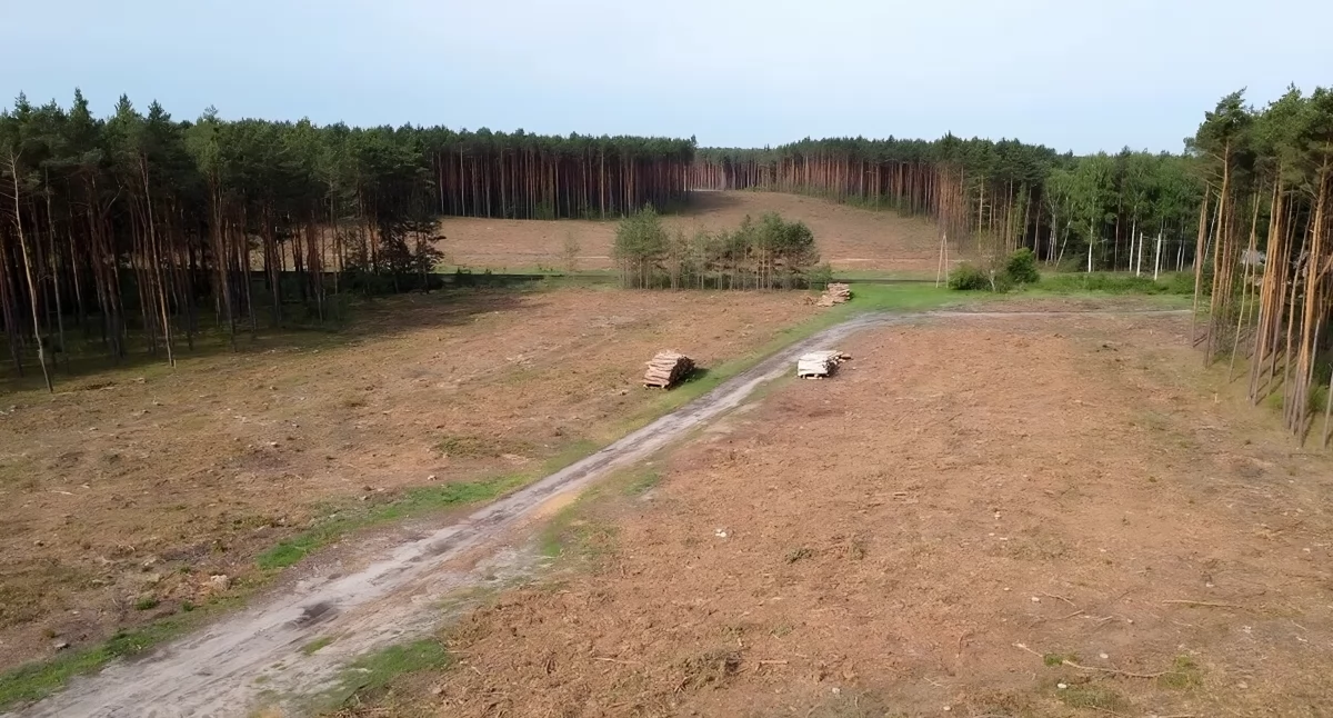 Droga ekspresowa w Toruniu ułatwi dojazd do autostrady. Tu powstanie ważny łącznik