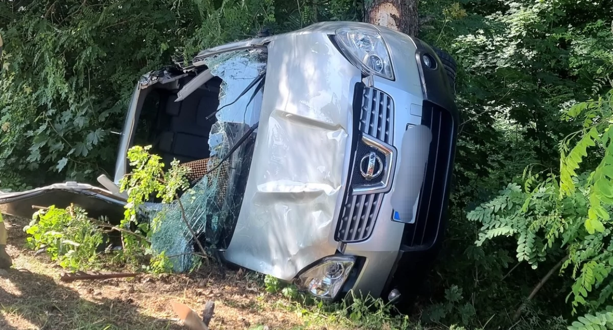 Groźny wypadek w Toruniu. Senior roztrzaskał się na drzewie
