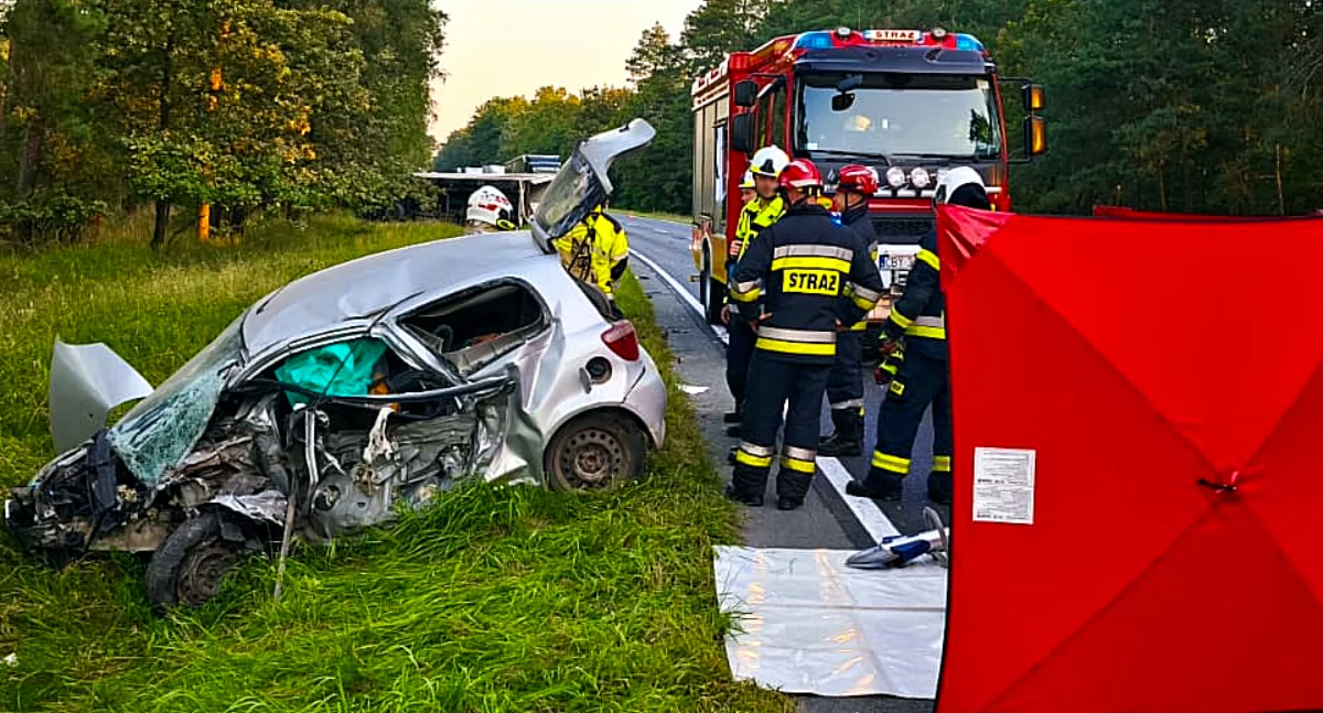 Koszmarny wypadek pod Toruniem. 65-latka wjechała w ciężarówkę