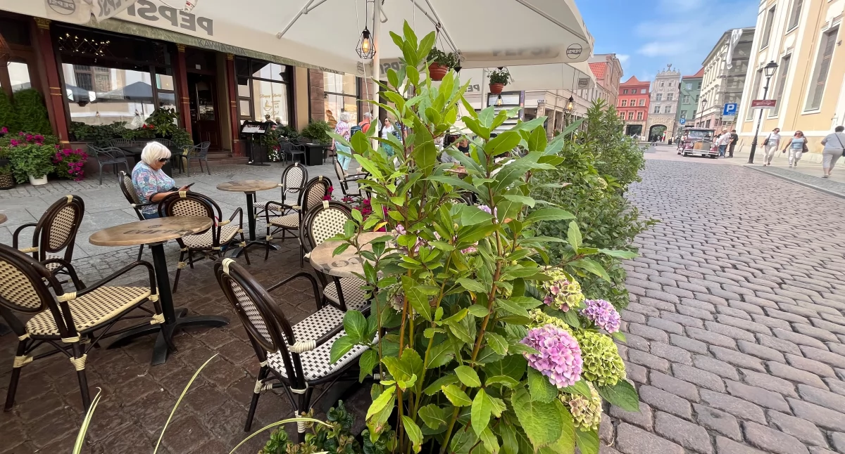 Zielony Ogródek Toruńskiej Starówki - Grande Coffee 