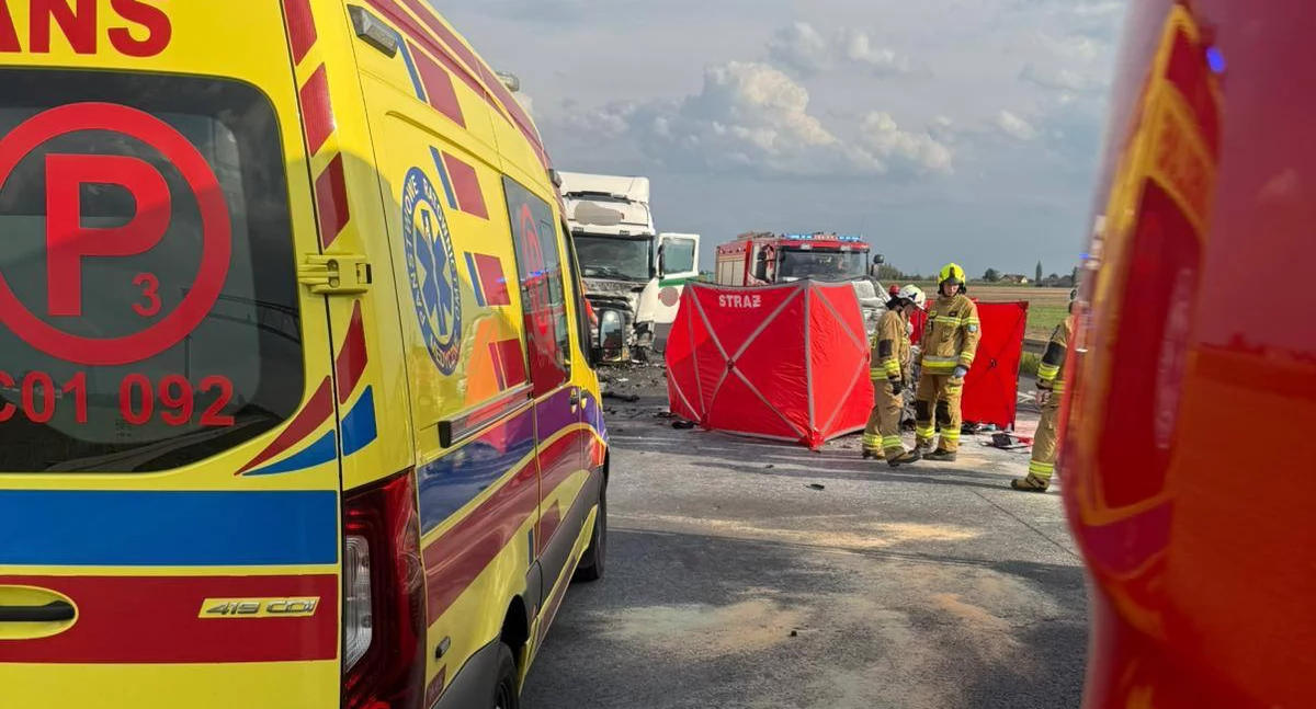 Tragedia na drodze pod Toruniem. Kierowca zginął na miejscu