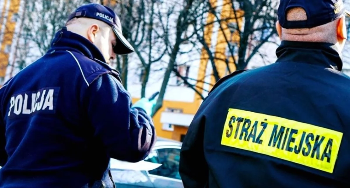 Powstał ranking straży miejskich. Toruń znalazł się na niechlubnej pozycji