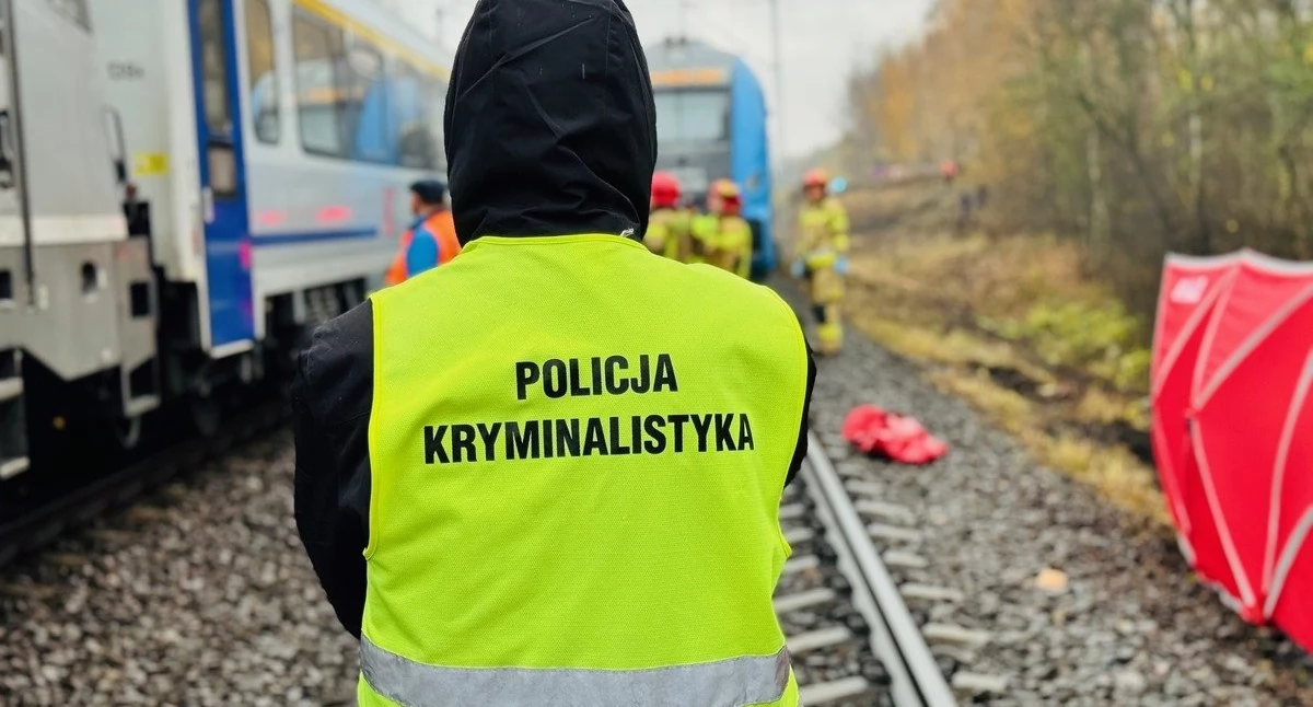Tragedia pod Toruniem. Pociąg śmiertelnie potrącił mężczyznę