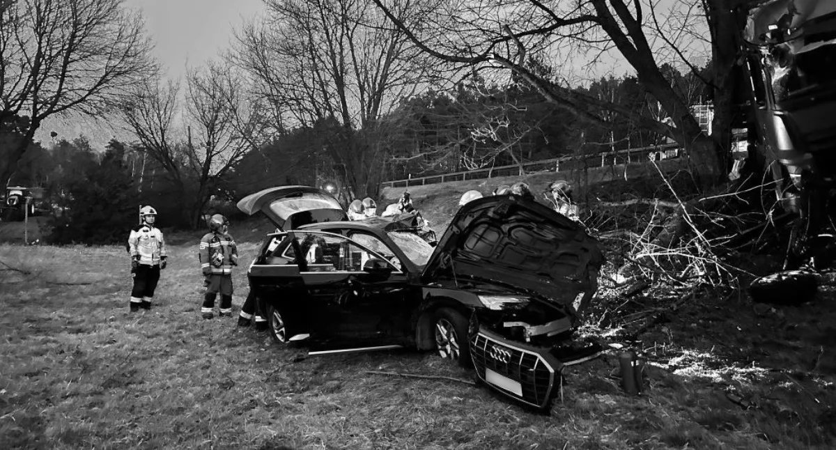 Ceniony muzyk zginął na drodze do Torunia. Znamy wstrząsające ustalenia policjantów
