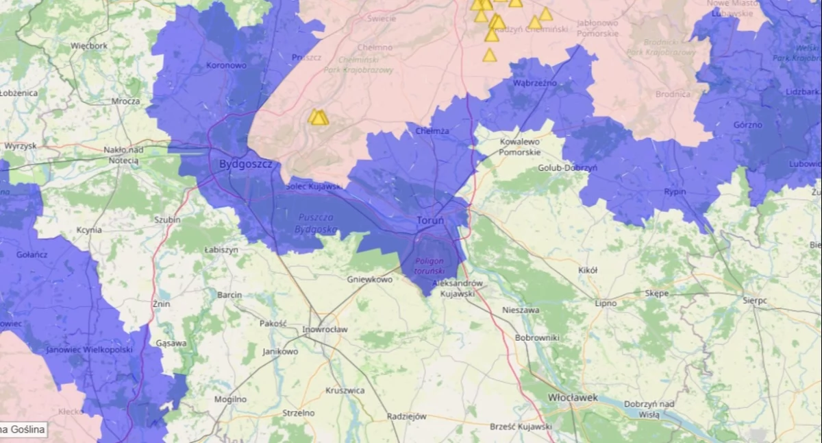 Jest nowe ognisko wirusa ASF. Toruń znalazł się w niebieskiej strefie