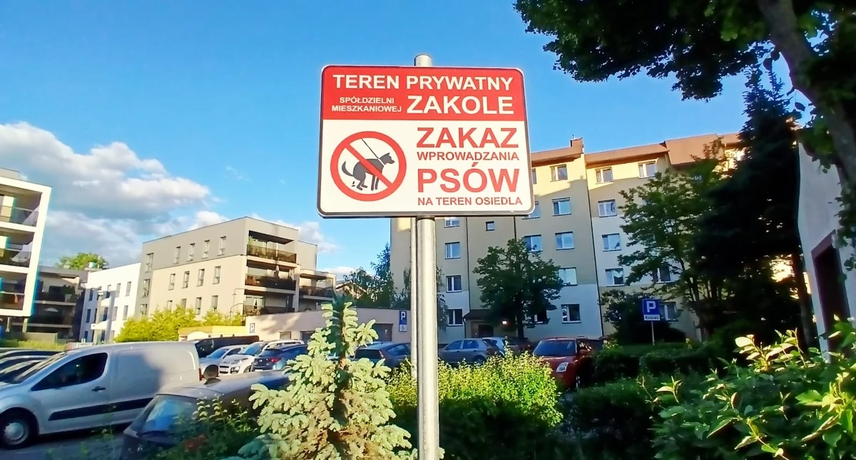 Absurdalny pomysł w Toruniu. Na osiedlu obowiązuje zakaz wprowadzania psów