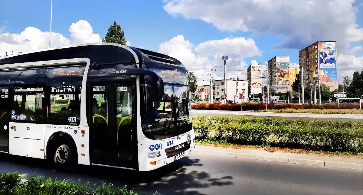 Linia autobusowa połączy Toruń z jeziorem. Jest termin pierwszego kursu