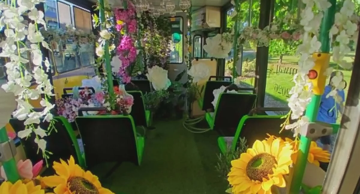 Do Torunia przyjechał Zielony Tramwaj. Jest wypełniony roślinami