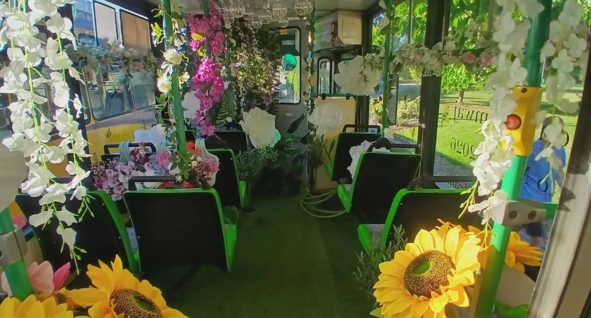 Do Torunia przyjechał Zielony Tramwaj. Jest wypełniony roślinami