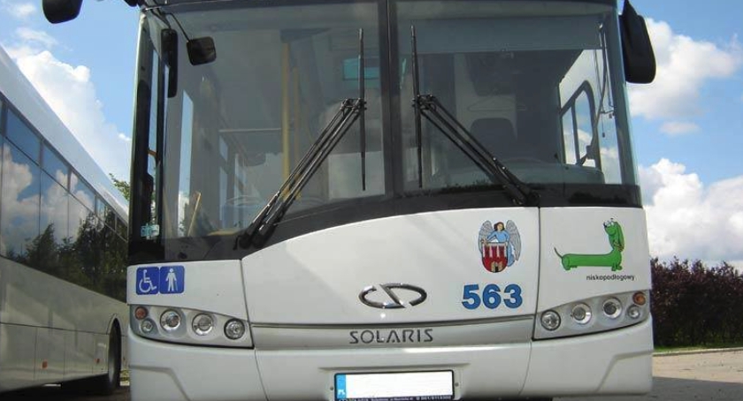 Miłość znajdziesz wszędzie. Nawet w autobusie!