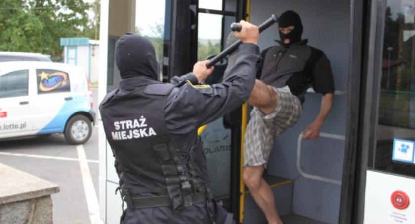 Toruńska Straż Miejska z paralizatorami? TAK czy NIE?