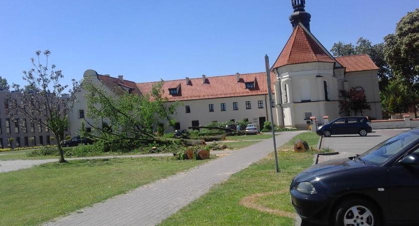 Znowu wycinka drzew! Przy klasztorze Franciszkanów już nie jest tak zielono...