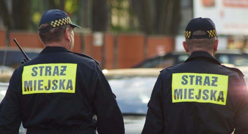 Statystyki nie kłamią. Torunianie chętnie współpracują ze Strażą Miejską!
