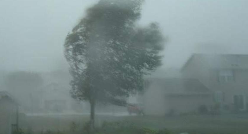Ostrzeżenie meteo. Spodziewajcie się silnego wiatru, kiedy? [WAŻNE]